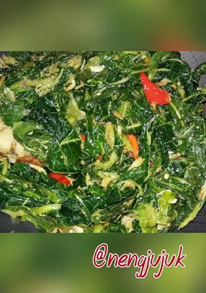 Foto resep Tumis Daun Pepaya Segar