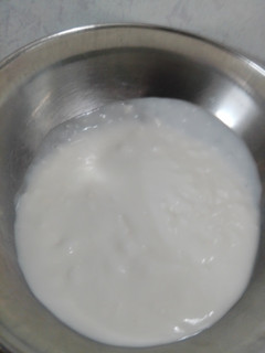 عکسی از دستور ماست خونگی