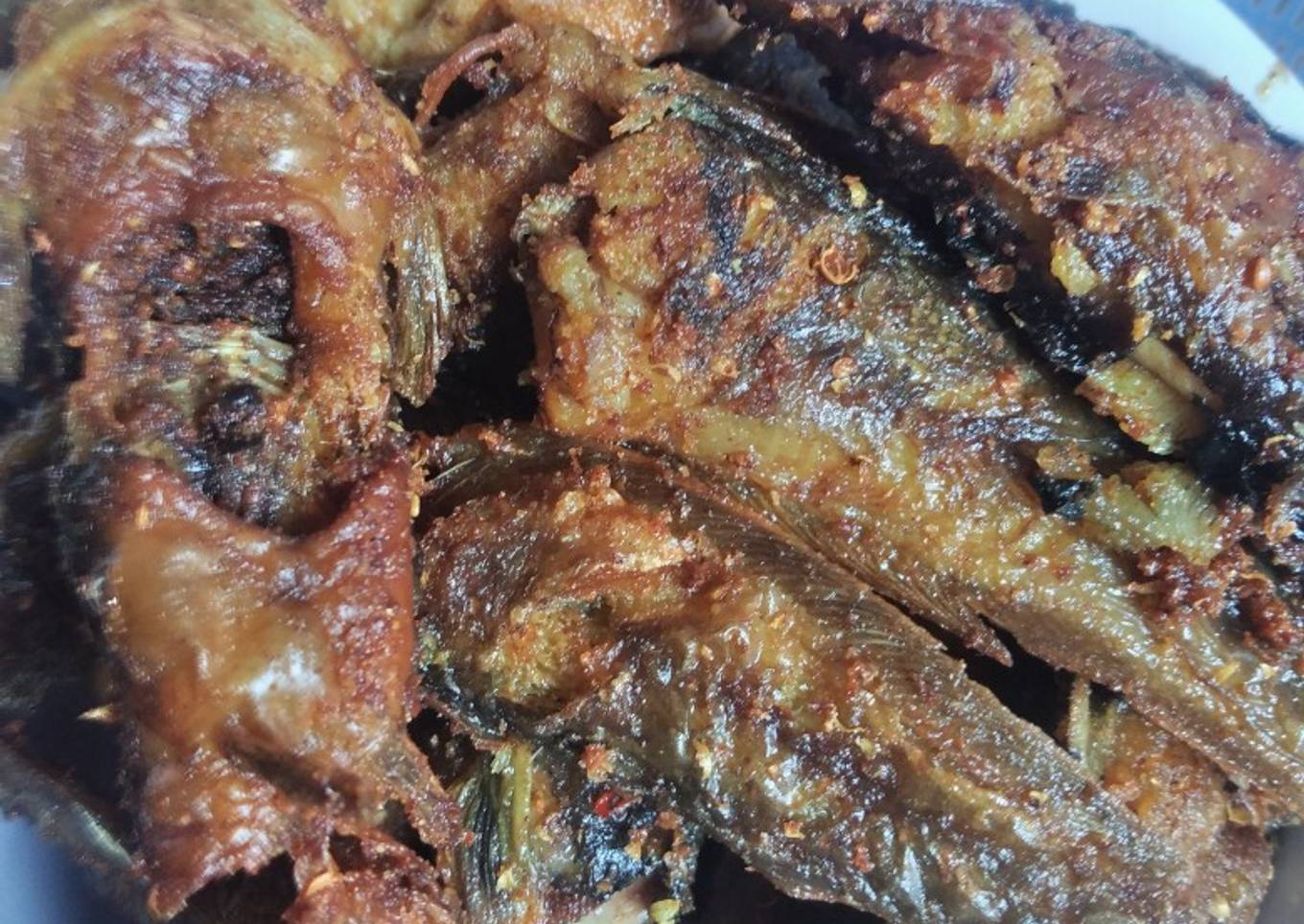 Masak besar: Lele goreng