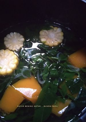 Foto resep Sayur Bening Daun Katuk