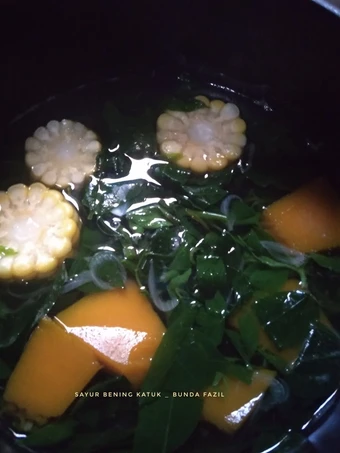 Langkah Gampang Menyiapkan Resep  Sayur Bening Daun Katuk yang Sempurna, Enak