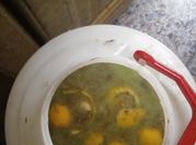 Una foto de aceitunas aliño