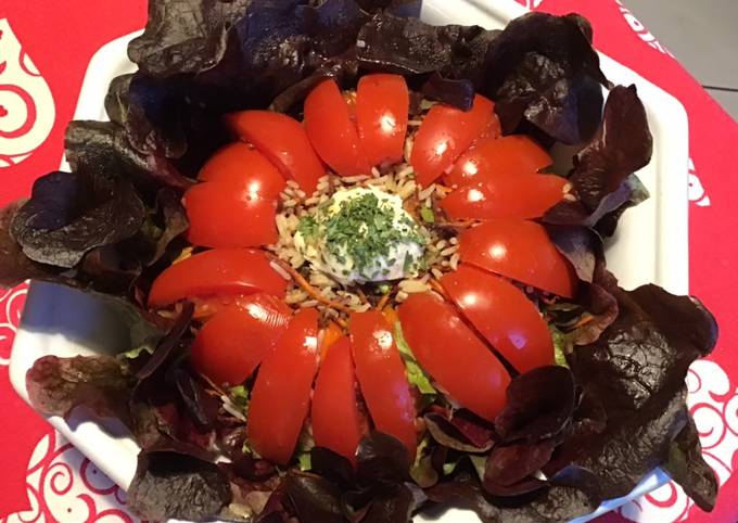 Salade composée feuille de chêne tomates riz et carottes cœur de mozzarella