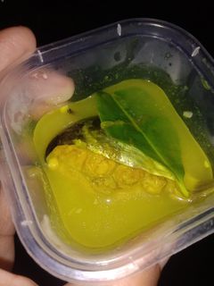 Foto resep Asem-asem patin mpasi 9 bulan