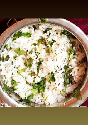 જીરા રાઈસ (Jeera Rice Recipe In Gujarati) રેસીપી મુખ્ય ફોટો