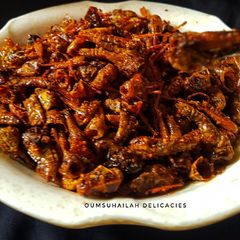 A picture of Crispy fara😋😋.