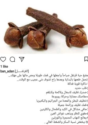 صورة لوصفة مشروب القرنفل لصحه افضل
