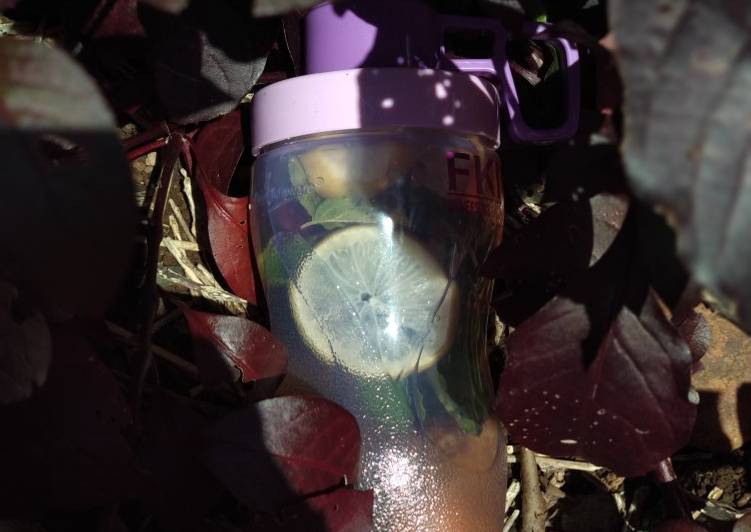 Resep: Untuk Mencoba Di RumahInfused water