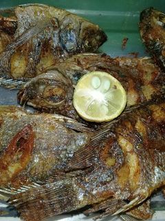 Foto resep Ikan nila goreng kriuk sederhana