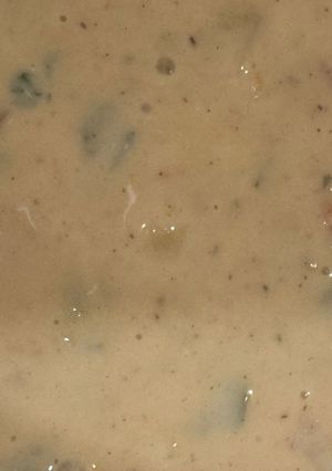 A picture of Queso (Cheese Dip).