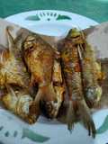 Ikan Wader goreng super simple