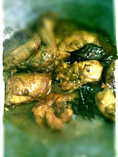 Foto resep Ayam kecap