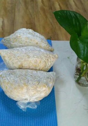 Foto resep Tempe Homemade