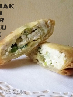 Foto resep Martabak Ayam Telur Bumbu Kari