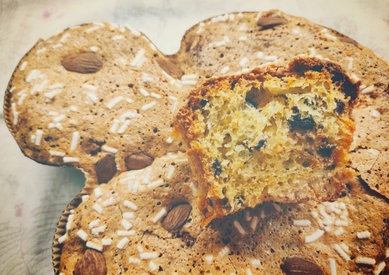 Colomba Pascual with Joe de Ciocolato and Levito Madre