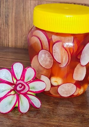 عکسی از دستور ترشی تربچه کُره ای