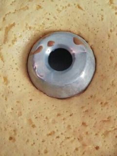 Foto resep Bolu nutrijel jeruk