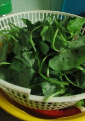 Hình của món Canh rau lang nấu tôm.