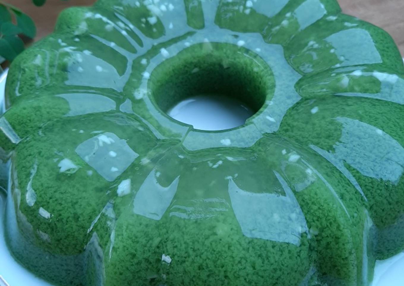 Puding lumut kelor