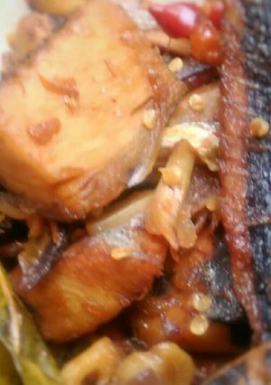 Foto resep Tongkol Kecap