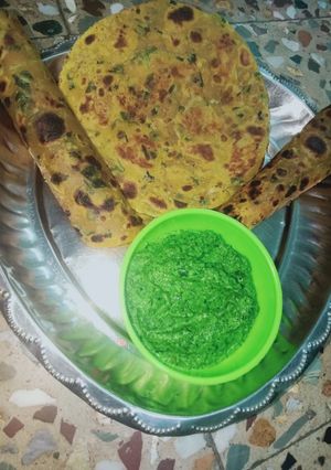 મેથી ના થેપલા (Methi Thepla Recipe In Gujarati) રેસીપી મુખ્ય ફોટો
