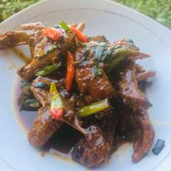 A picture of Ayam kecap super simple.