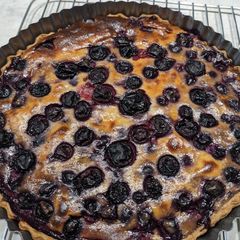 A picture of Honey Yoghurt blueberry custard pie (no cream).