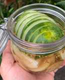 Pickled gherkin