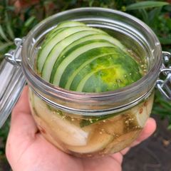 A picture of Pickled gherkin.