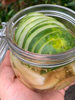 A picture of Pickled gherkin.