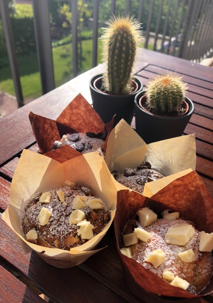 Una foto de Muffins de vainilla y chocolate