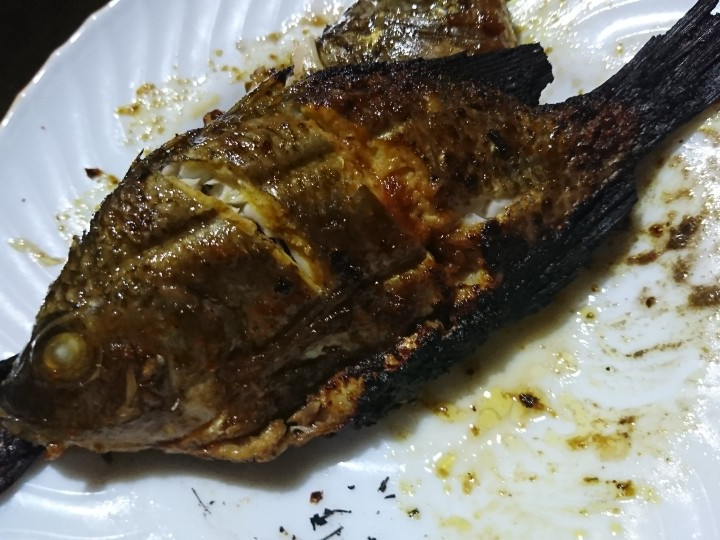 Cara Gampang Membuat Ikan mujaer bakar bumbu kecap yang Enak Banget