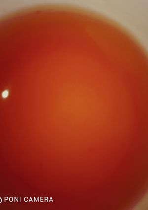 Una foto de Tecito descongestivo