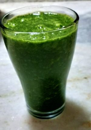 ગ્રીન ડીટોક્સ જ્યુસ (Green Ditox Juice Recipe In Gujarati) રેસીપી મુખ્ય ફોટો