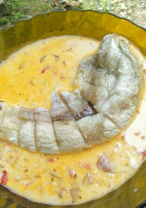 Foto resep Parung terong (terong bakar) kuah santan