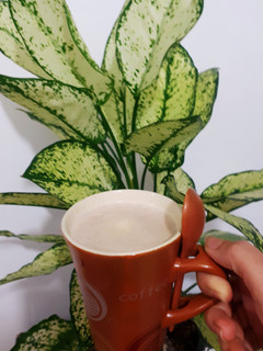 عکسی از دستور کلداستاپ 😋