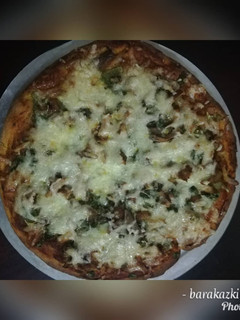 A picture of Chicken pizza.
