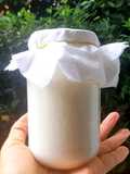 Kefir yogurt โยเกิร์ตบัวหิมะทิเบต Complete Guide #Zerowaste
