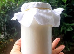 รูปของ Kefir yogurt โยเกิร์ตบัวหิมะทิเบต Complete Guide #Zerowaste