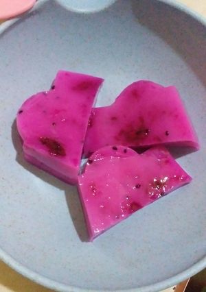 Foto resep Puding Susu Naga
