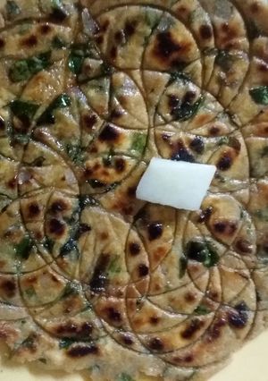A picture of Palak paratha.
