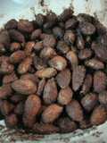 Cocoa and Sugar Almonds