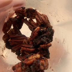 A picture of Candied pecans.