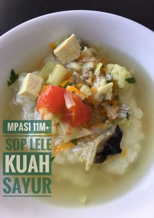 Foto resep MPASI 11m+ Sup Lele Sayuran