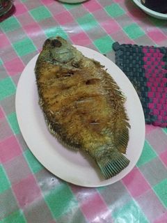 Foto resep Resep ikan gurame goreng