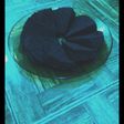 Brownies ketan hitam