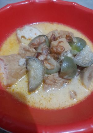 Foto resep Lodeh terong bulat dan tahu pong