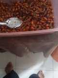 Sartika[sambal teri kacang tanah]