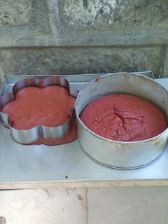 A picture of Red Velvet.