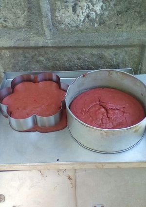 A picture of Red Velvet.